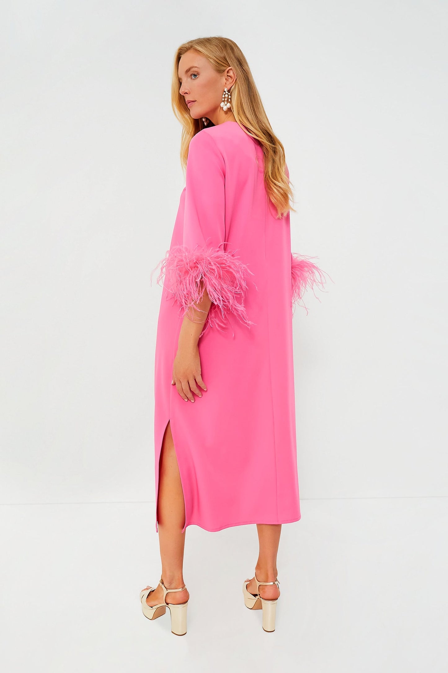 Tuckernuck Feather Dress
